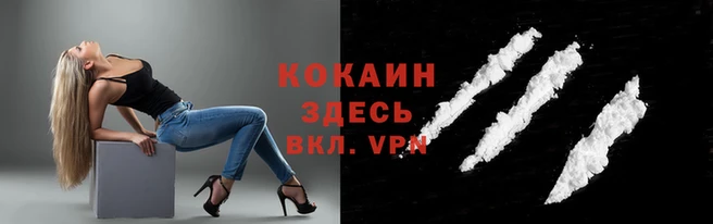 тгк Алексин